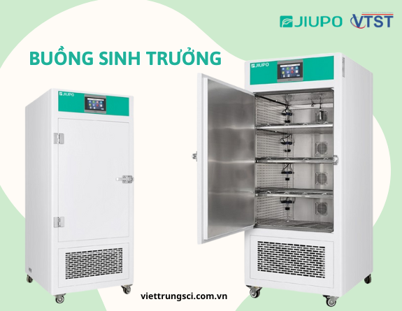 buồng nuôi cấy.png