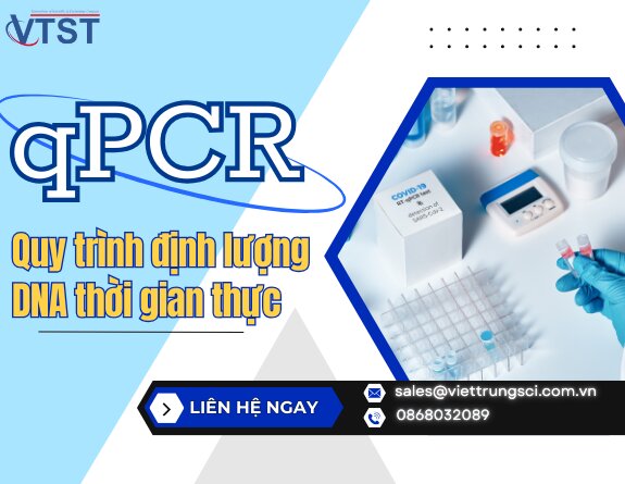 q-pcr-dinh-luong-dna-thoi-gian-thuc.jpg