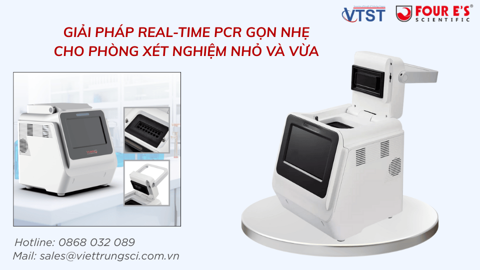 Real time PCR (1).png