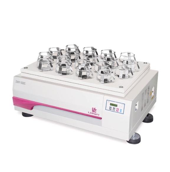 Screenshot 2024-11-13 081908.png